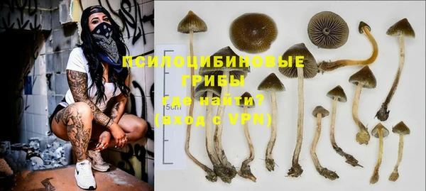 spice Балабаново
