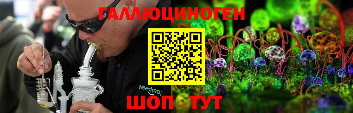 Псилоцибиновые грибы MAGIC MUSHROOMS Дивногорск